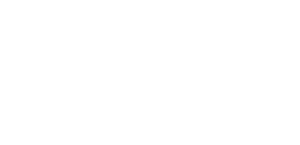 The Perfect Media