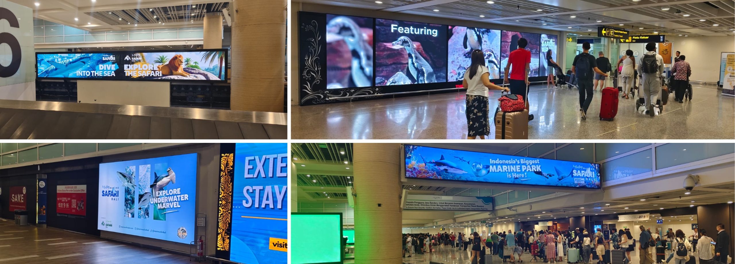 Bali Safari advertising at Ngurah Rai International Airport baggage claim area with bright LED screens and lightboxes attracting travelers.