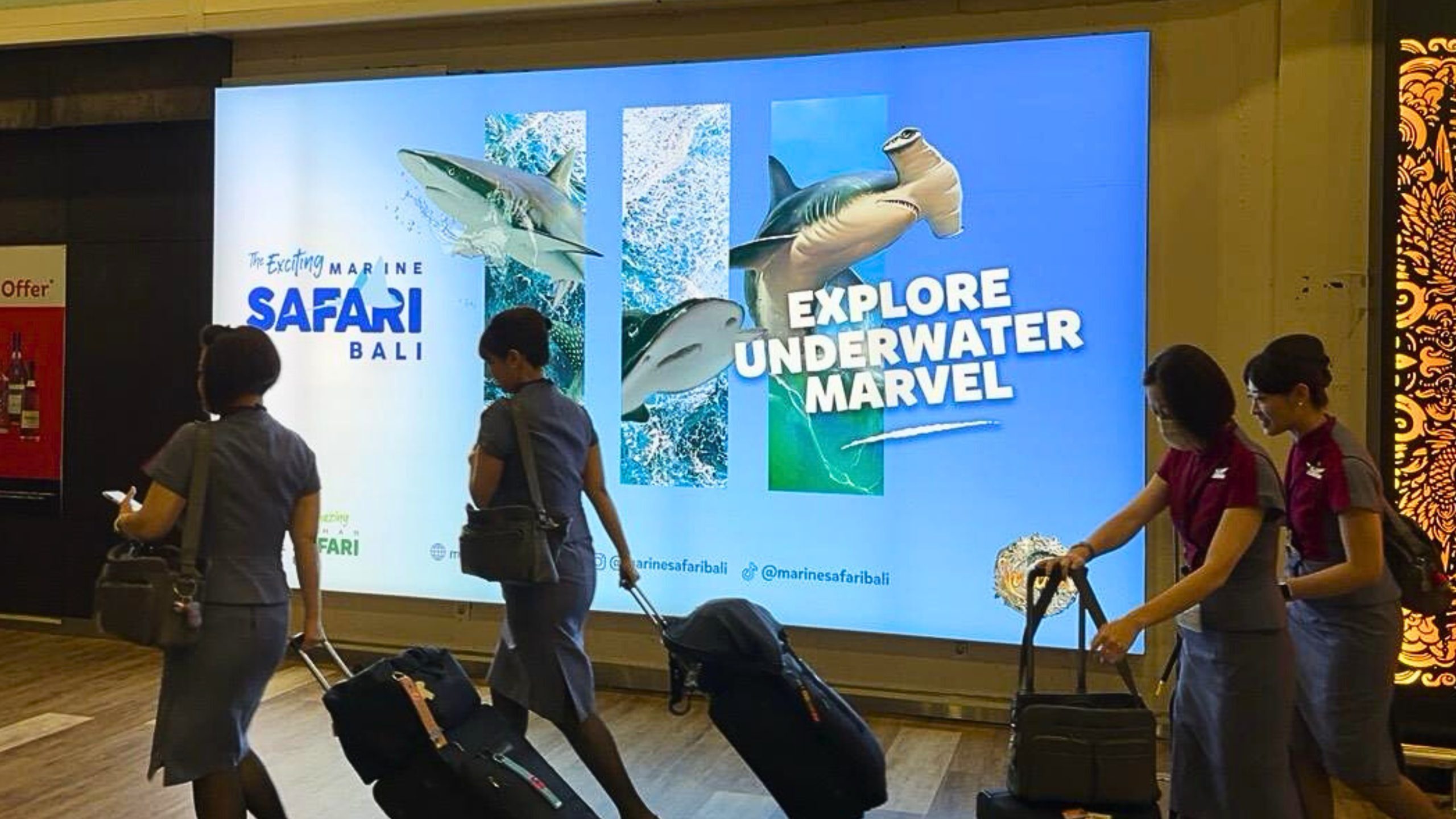 Bali Safari lightbox positioned right after immigration at Ngurah Rai Airport, strategically placed as the first visual seen by passengers after passport control.